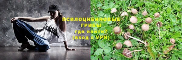 каннабис Алексеевка